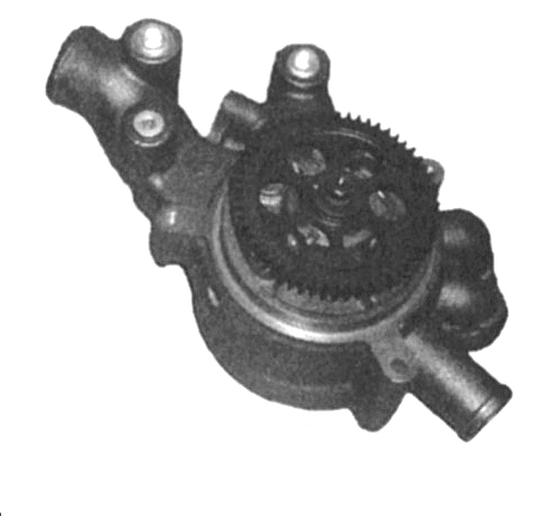 640084.jpg