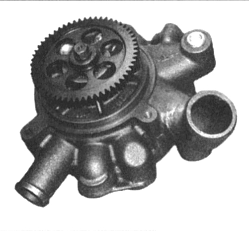640085.jpg
